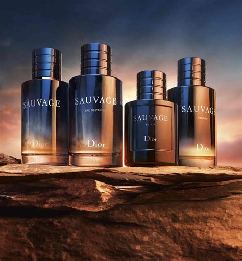 Sauvage: das Universum des ikonischen Dior Herrendufts 